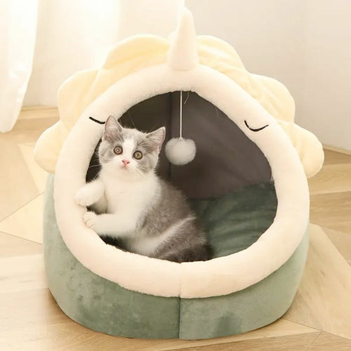 Adorável Casa de Estimação Dinossauro com Brinquedo